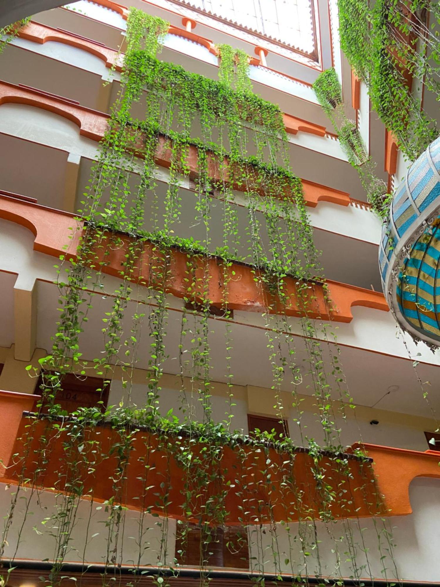 Hotel Baez Carrizal วิลลาเฮอโมซา ภายนอก รูปภาพ